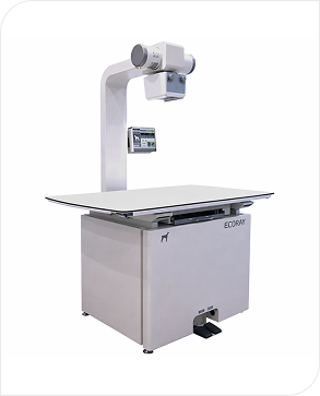 ECORAY X-RAY
